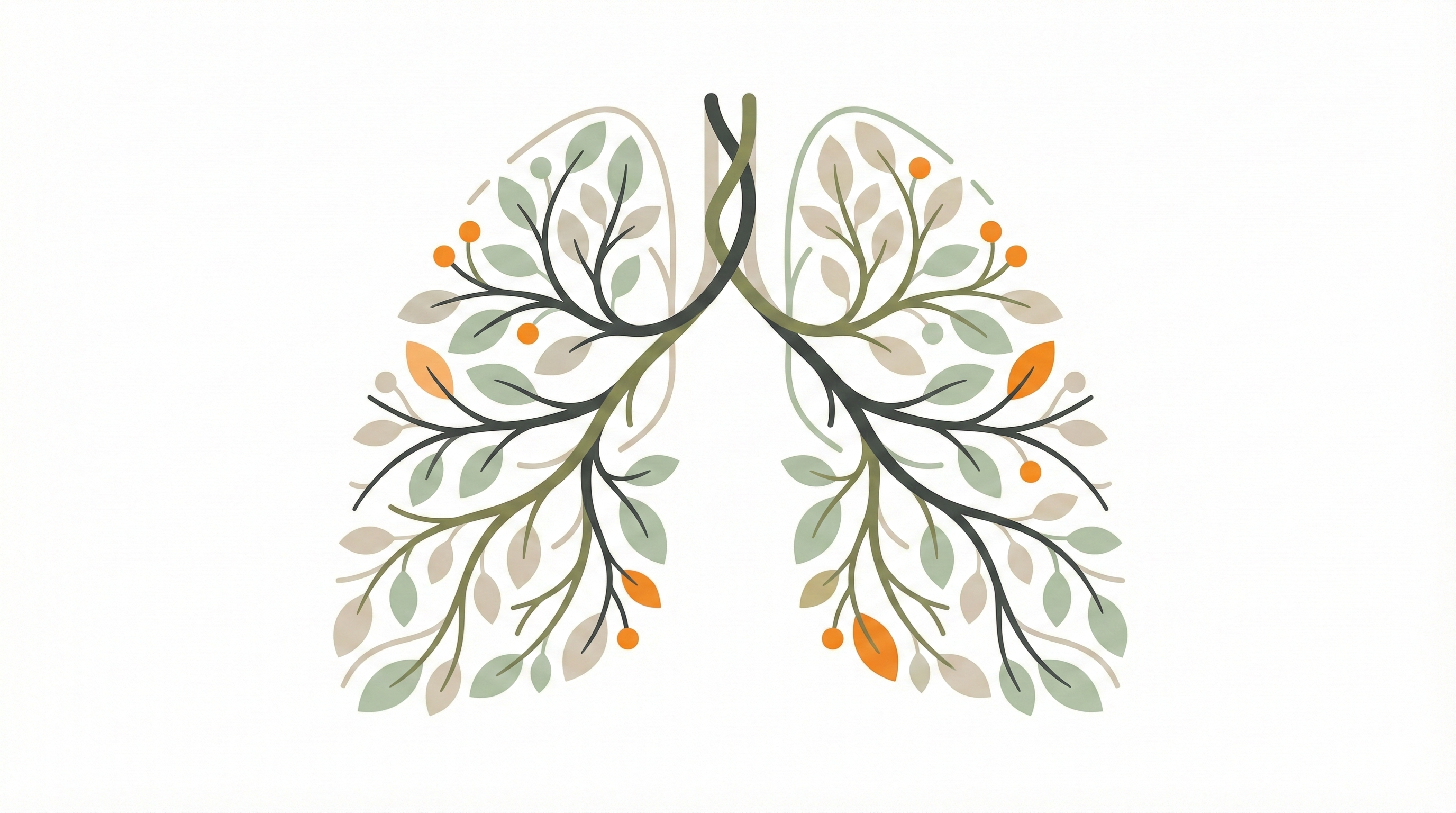 Иллюстрация лёгких